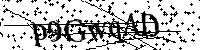 Por favor, introduzca las letras y los numeros de la imagen