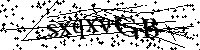Por favor, introduzca las letras y los numeros de la imagen