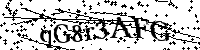 Por favor, introduzca las letras y los numeros de la imagen