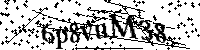Por favor, introduzca las letras y los numeros de la imagen