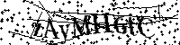 Por favor, introduzca las letras y los numeros de la imagen