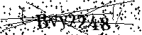Por favor, introduzca las letras y los numeros de la imagen