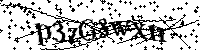 Por favor, introduzca las letras y los numeros de la imagen