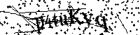 Por favor, introduzca las letras y los numeros de la imagen
