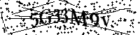 Por favor, introduzca las letras y los numeros de la imagen