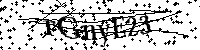 Por favor, introduzca las letras y los numeros de la imagen