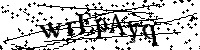 Por favor, introduzca las letras y los numeros de la imagen