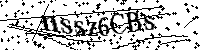 Por favor, introduzca las letras y los numeros de la imagen