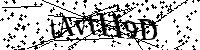 Por favor, introduzca las letras y los numeros de la imagen