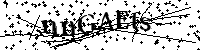 Por favor, introduzca las letras y los numeros de la imagen