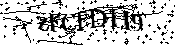 Por favor, introduzca las letras y los numeros de la imagen