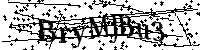 Por favor, introduzca las letras y los numeros de la imagen