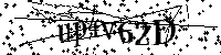 Por favor, introduzca las letras y los numeros de la imagen