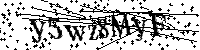 Por favor, introduzca las letras y los numeros de la imagen