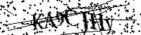 Por favor, introduzca las letras y los numeros de la imagen