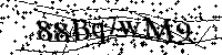 Por favor, introduzca las letras y los numeros de la imagen