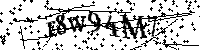 Por favor, introduzca las letras y los numeros de la imagen