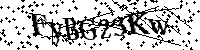 Por favor, introduzca las letras y los numeros de la imagen