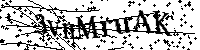 Por favor, introduzca las letras y los numeros de la imagen