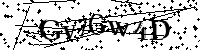 Por favor, introduzca las letras y los numeros de la imagen