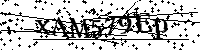 Por favor, introduzca las letras y los numeros de la imagen