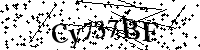 Por favor, introduzca las letras y los numeros de la imagen