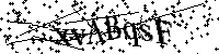 Por favor, introduzca las letras y los numeros de la imagen