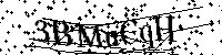 Por favor, introduzca las letras y los numeros de la imagen