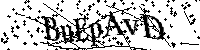 Por favor, introduzca las letras y los numeros de la imagen