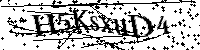 Por favor, introduzca las letras y los numeros de la imagen
