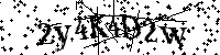 Por favor, introduzca las letras y los numeros de la imagen