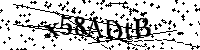 Por favor, introduzca las letras y los numeros de la imagen