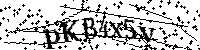 Por favor, introduzca las letras y los numeros de la imagen