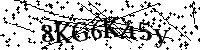 Por favor, introduzca las letras y los numeros de la imagen