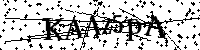 Por favor, introduzca las letras y los numeros de la imagen