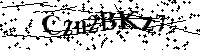 Por favor, introduzca las letras y los numeros de la imagen