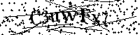 Por favor, introduzca las letras y los numeros de la imagen