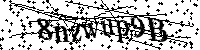 Por favor, introduzca las letras y los numeros de la imagen