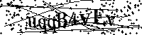 Por favor, introduzca las letras y los numeros de la imagen
