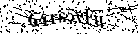 Por favor, introduzca las letras y los numeros de la imagen