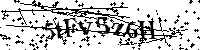 Por favor, introduzca las letras y los numeros de la imagen