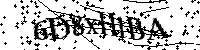 Por favor, introduzca las letras y los numeros de la imagen