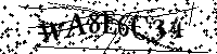 Por favor, introduzca las letras y los numeros de la imagen