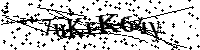 Por favor, introduzca las letras y los numeros de la imagen