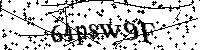 Por favor, introduzca las letras y los numeros de la imagen