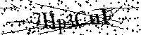 Por favor, introduzca las letras y los numeros de la imagen