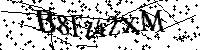 Por favor, introduzca las letras y los numeros de la imagen
