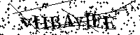 Por favor, introduzca las letras y los numeros de la imagen