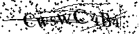 Por favor, introduzca las letras y los numeros de la imagen