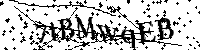 Por favor, introduzca las letras y los numeros de la imagen
